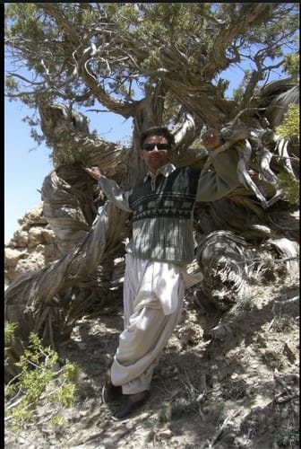 Perfect Software and Other Illusions About Testing