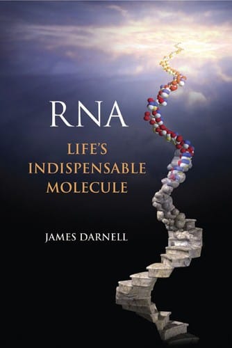 RNA