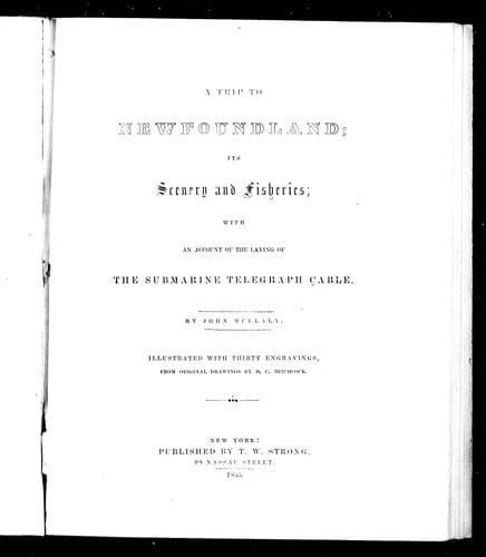 A trip to Newfoundland