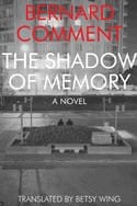 The shadow of memory