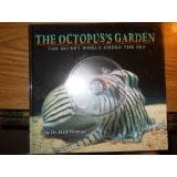 Octopus's garden