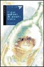 El gran problema del pequeño Marcos