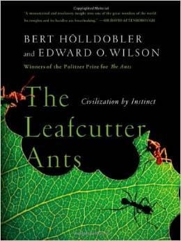 The Leafcutter Ants