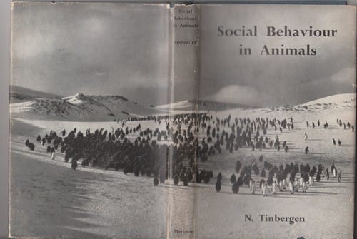 Social behaviour in animals