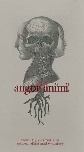 Angor animi
