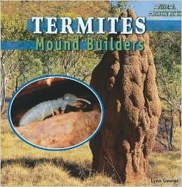 Termites