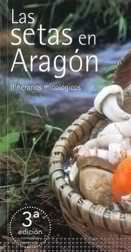 Las setas en Aragón