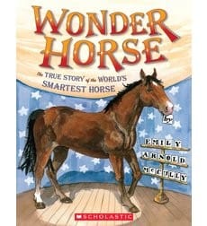 Wonder horse