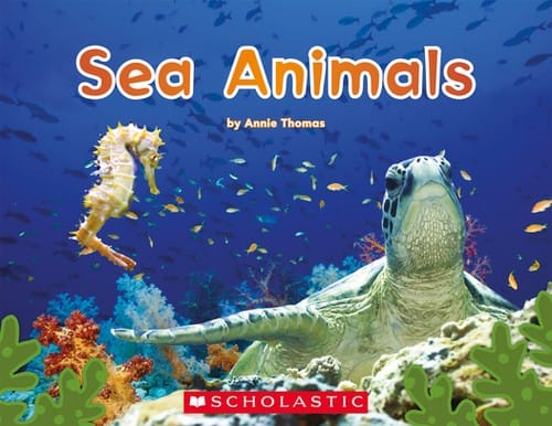 Sea Animals