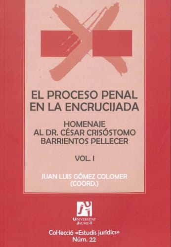 El proceso penal en la encrucijada Vol. I