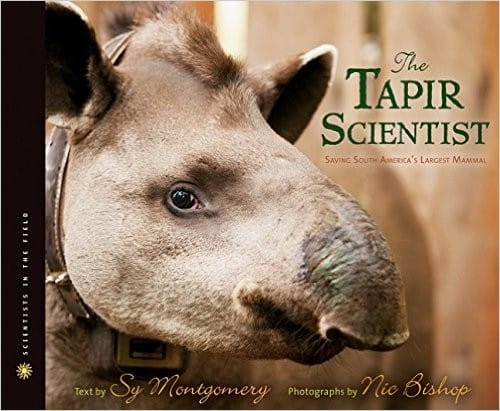 The tapir scientist