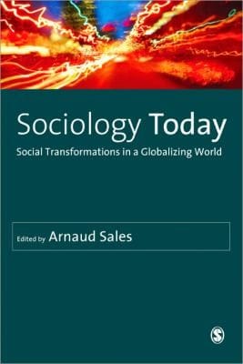 Sociology Today Social Transformations In A Globalizing World