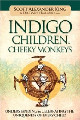Indigo Children Cheeky Monkeys Understanding Celebrating The Uniqueness Of Every Child