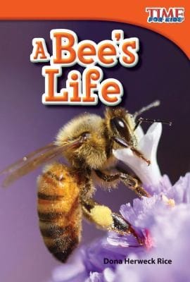 A Bees Life