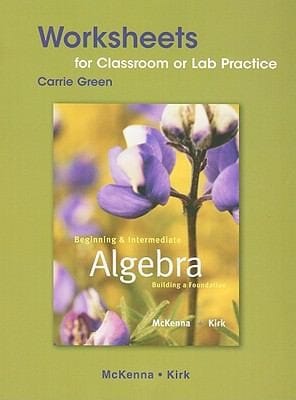 Beginning And Intermediate Algebra Classroom Worksheets Lab Practice Building A Foundation