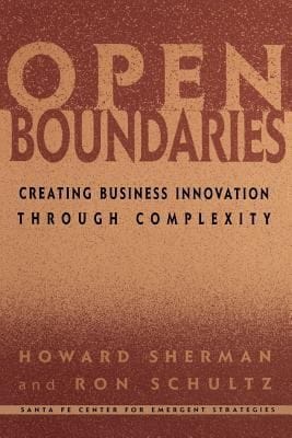 Open Boundaries Creating Business Innovation Through Complexity