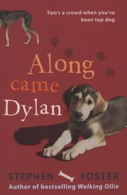 Along Came Dylan Twos A Crowd When Youve Been Top Dog