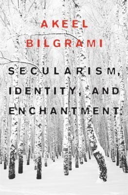 Secularism Identity And Enchantment