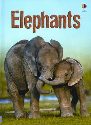 Elephants