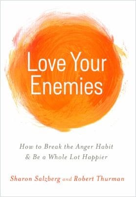 Love Your Enemies How To Break The Anger Habit Be A Whole Lot Happier