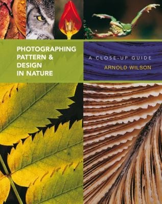 Photographing Pattern Design In Nature A Closeup Guide