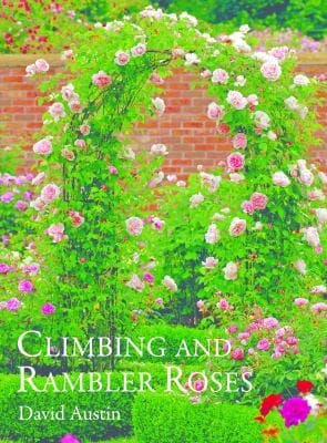 Climbing Roses