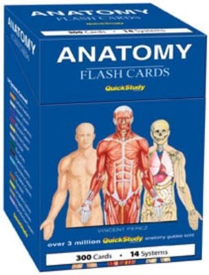 Anatomy Flash Cards
            
                Quickstudy Flash Cards