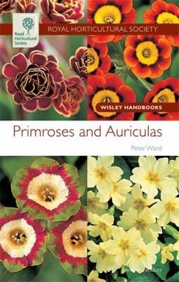 Primroses And Auriculas