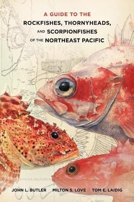 A Guide To The Rockfishes Thornyheads And Scorpionfishes Of The Northeast Pacific