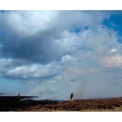 Setting The Fell On Fire Allenheads Contemporary Arts Contemporary Art In A Rural Context