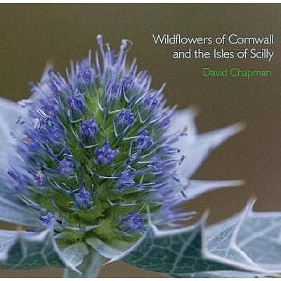 Wildflowers Of Cornwall And The Isles Of Scilly