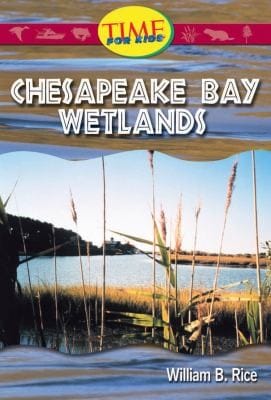 Chesapeake Bay Wetlands