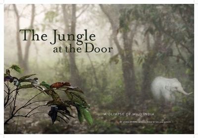 The Jungle At The Door A Glimpse Of Wild India