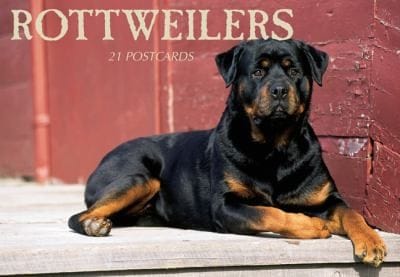Rottweilers Postcard Book