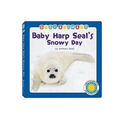 Baby Harp Seals Snowy Day