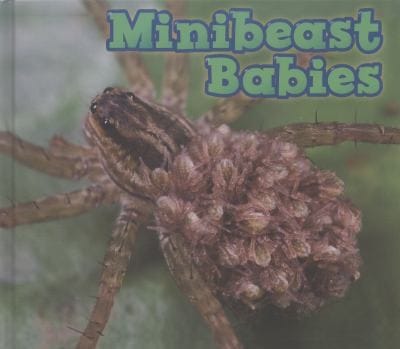 Minibeast Babies