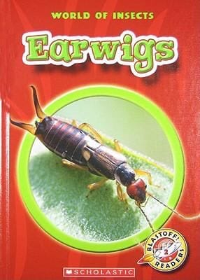 Earwigs