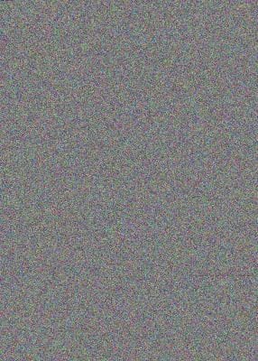 A Project Guide to Sponges Worms and Mollusks
            
                Life Science Projects for Kids Library