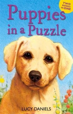 Puppies In A Puzzle