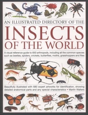 An Illustrated Directory Of The Insects Of The World A Visual Reference Guide To 650 Arthropods Including All The Common Species Such As Beetles Spiders Crickets Butterflies Moths Grasshoppers And Flies