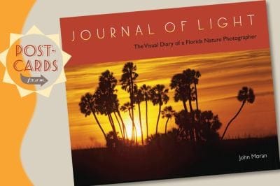 Postcards From Journal Of Light