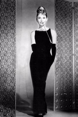 Audrey Hepburn Standing Journal