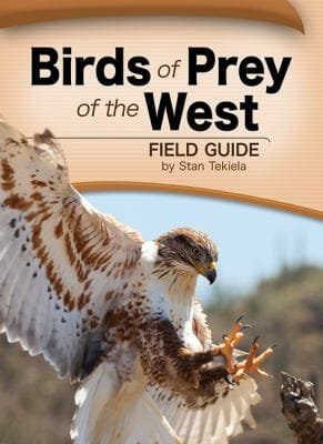 Birds Of Prey Of The West Field Guide