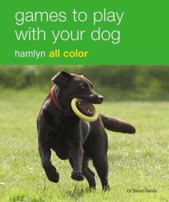 Games To Play With Your Dog