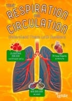Your Respiration And Circulation Understand It With Numbers