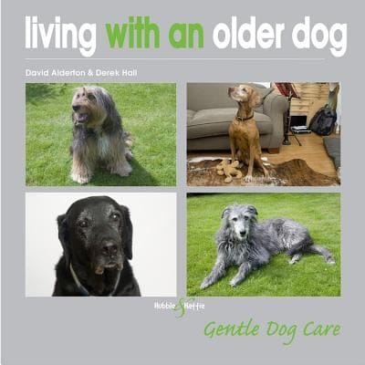 Living With An Older Dog