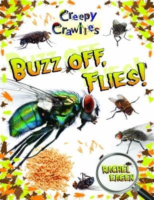 Buzz Off Flies
