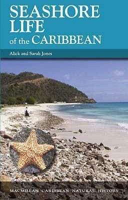 Seashore Life Of The Caribbean A Beachcombers Guide