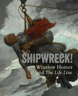 Shipwreck Winslow Homer And The Life Line
