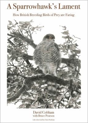 A Sparrowhawks Lament